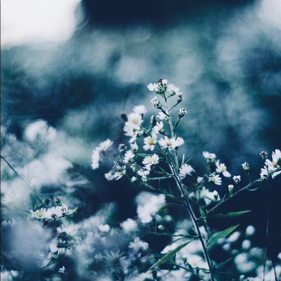 Meet your Posher, Camila - Picture 1 of 1